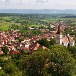 Orori familiale un tanar din Rasinari si a amenintat mama