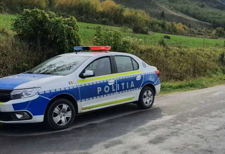 Pinocchio de Sibiu Un adolescent a mintit despre politie