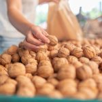 Seceta afecteaza nucile pomii sunt imaturi pretul creste