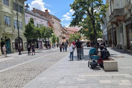 Sibienii nu mai fac copii natalitatea a scarut drastic