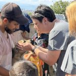 Sterilizari si vaccinari gratuite in Sibiu campanie pentru Gusterita si Turnisor