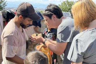 Sterilizari si vaccinari gratuite in Sibiu campanie pentru Gusterita si Turnisor