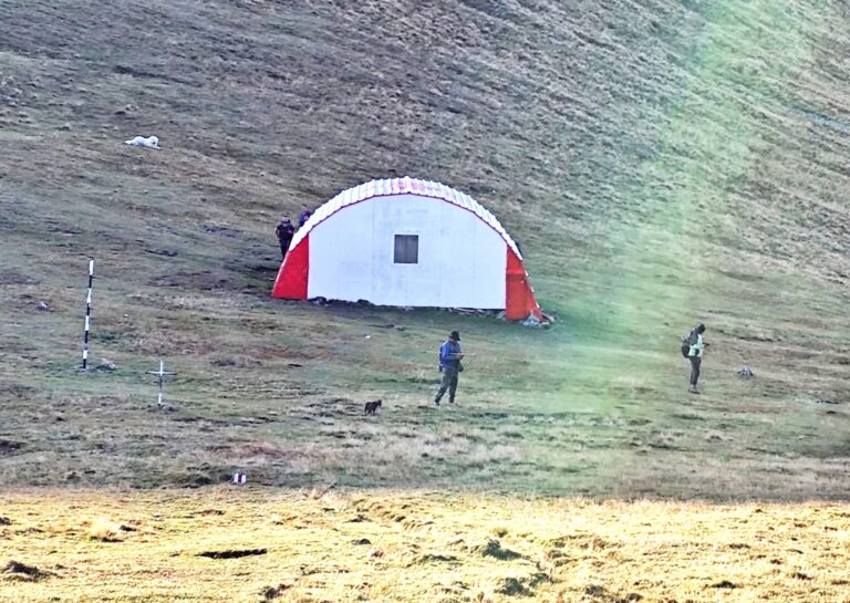 Tinere hartuite de ciobani si caini agresivi in Fagaras
