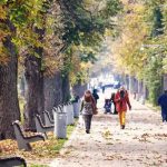 Toamna isi face simtita prezenta in Transilvania