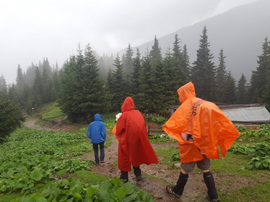 cod galben de ploi si vant in zona montana sibiu
