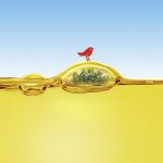 uleiul alimentar uzat devine biocombustibil pentru comunitate