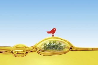 uleiul alimentar uzat devine biocombustibil pentru comunitate