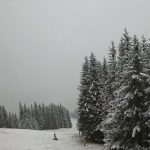 Alerte meteo Ninsori puternice in judetul Sibiu