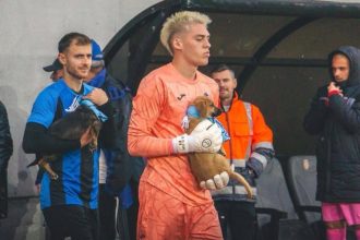 Catelusii care au furat inceputul meciului FC Inter Sibiu Minerul Lupeni