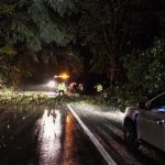 Circulatia spre Paltinis este inchisa din cauza ninsorii