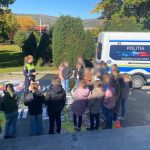 De la joaca la siguranta lecii de educatie rutiera