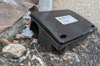 Deratizare in Sibiu 27 31 octombrie 2025