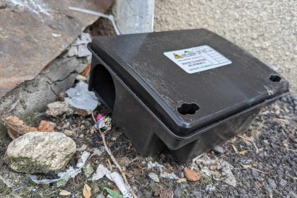 Deratizare in Sibiu 27 31 octombrie 2025