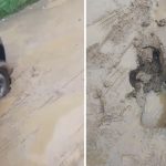 Drumuri ca dupa razboi in Prislop Ne am saturat