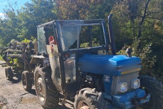 Flagrant pe un drum forestier doi barbati cu lemne furate