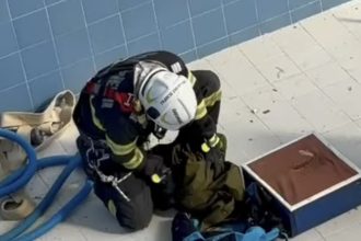 Pompierii sibieni salveaza o pisica din bazin