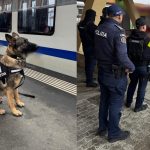 Razie in Gara Sibiu verificari cu caini si amenzi