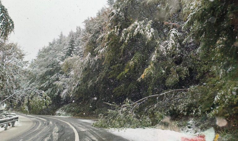 Se circula in conditii de iarna la Paltinis