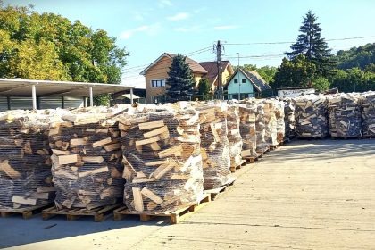 Sibienii pot comanda lemne de foc online Romsilva