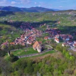 Tanr reinut la Cisndioara pentru conducere sub influen