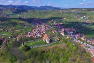 Tanr reinut la Cisndioara pentru conducere sub influen