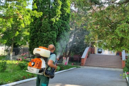 Tarife mai mari pentru dezinsectie si deratizare la Sibiu