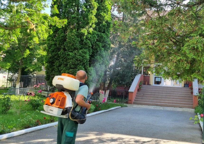 Tarife mai mari pentru dezinsectie si deratizare la Sibiu
