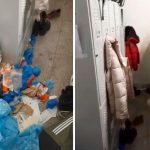 Un an de promisiuni Studentii Medicina din Sibiu in vestiare insalubre