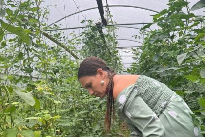 Vestibune pentru legumicultori solariile nu mai necesita autorizatii