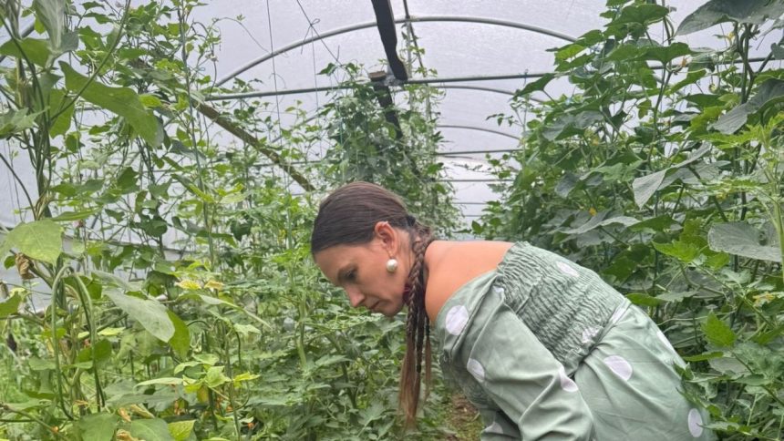 Vestibune pentru legumicultori solariile nu mai necesita autorizatii