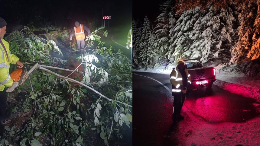 Zapada grea a doborat copaci spre Paltinis