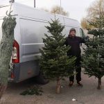 Ajungerea brazilor de Craciun in piata din Sibiu