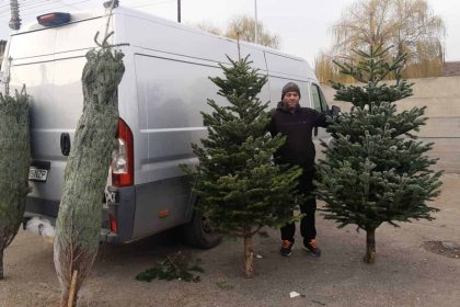 Ajungerea brazilor de Craciun in piata din Sibiu