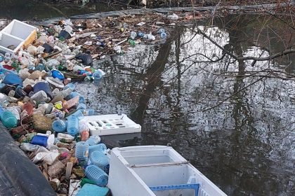 Cibinul sufocat de gunoaie platforma plina