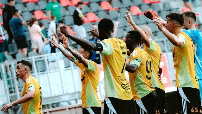 In dizgratie dorit inapoi la FC Hermannstadt 1