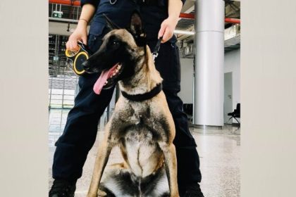 Kira vedeta Centrului Chinologic din Sibiu detecteaza droguri