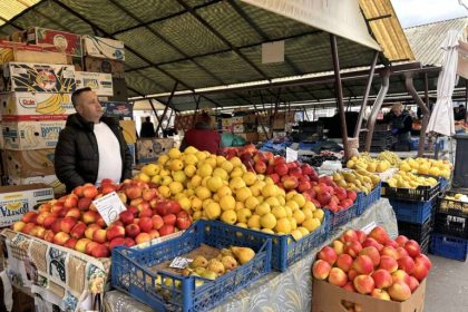 Productie scaruta de mere si pere in 2025