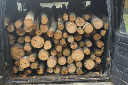 Transport ilegal de lemne in Arpasu de Sus