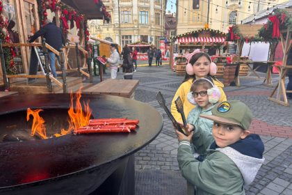 Zona de picnic de la Targul de Cracun din Sibiu