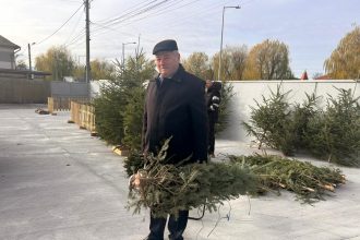 Au aparut primii brazi la Piata Cibin preturi de la 80 lei