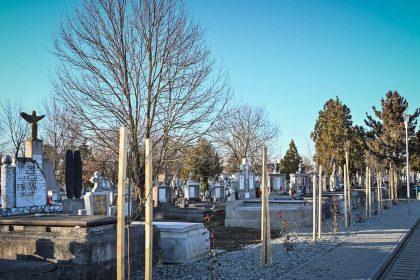 Bataliapentrutmorminte sumaenormaplatiadeunsibian