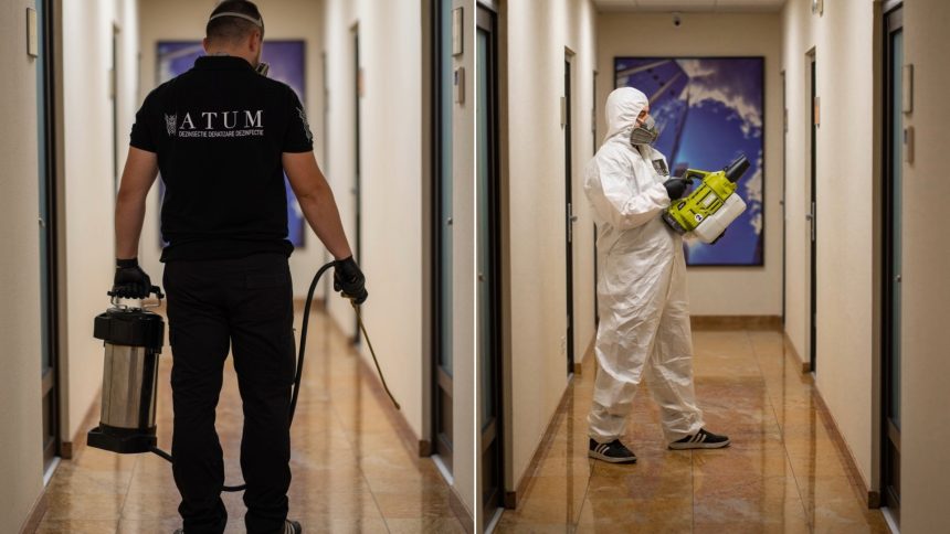 De ce DDD nu inseamna doar combatere ci si preventie