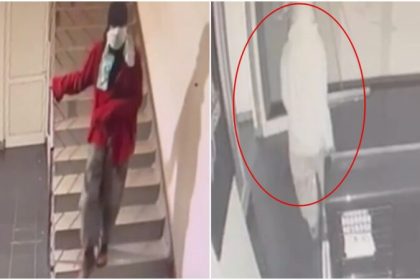 Furt intr un magazin din Sibiu hatul filmat