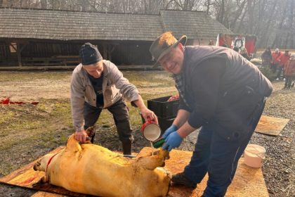 Ignatul la oras surprize pentru vizitatori in Muzeul ASTRA