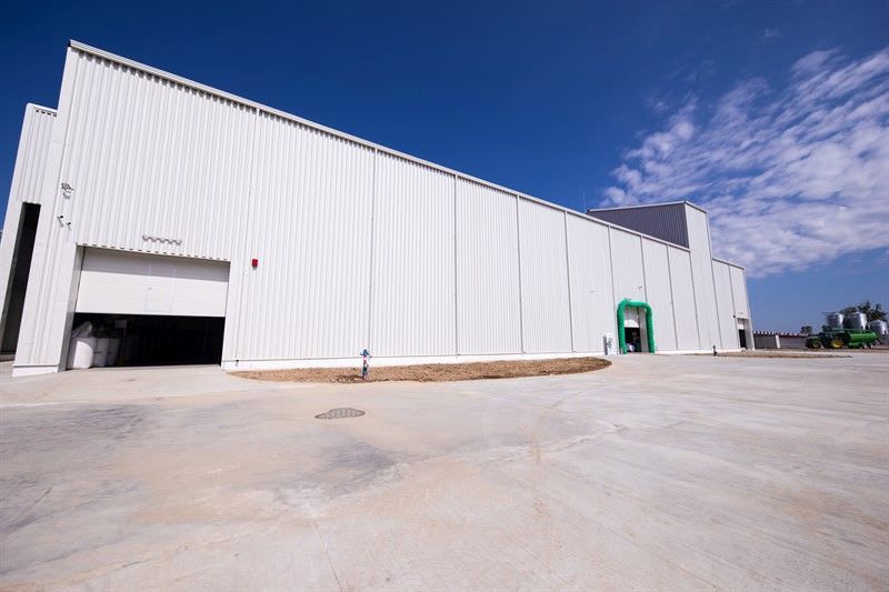 Lovitura pentru Avrig ferma de porci intra in pauza din cauza pestei