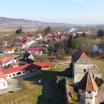 Niciun incident la votare in Carta prezenta de peste 30