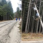 Noapte de cosmar in Paltinis brazi prabusiti peste cabluri