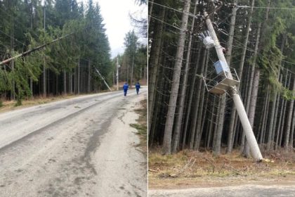 Noapte de cosmar in Paltinis brazi prabusiti peste cabluri