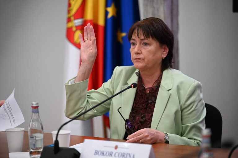 PSD Sibiu propune infiintarea unui centru de participare