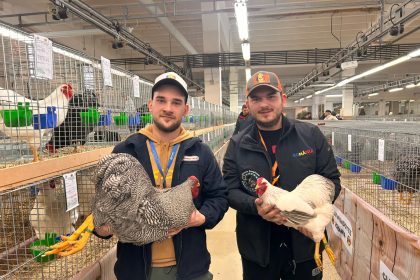 Peste 1000 de animale de rasa expuse la Sibiu